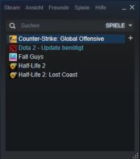 Schritt 3: steam.bat starten